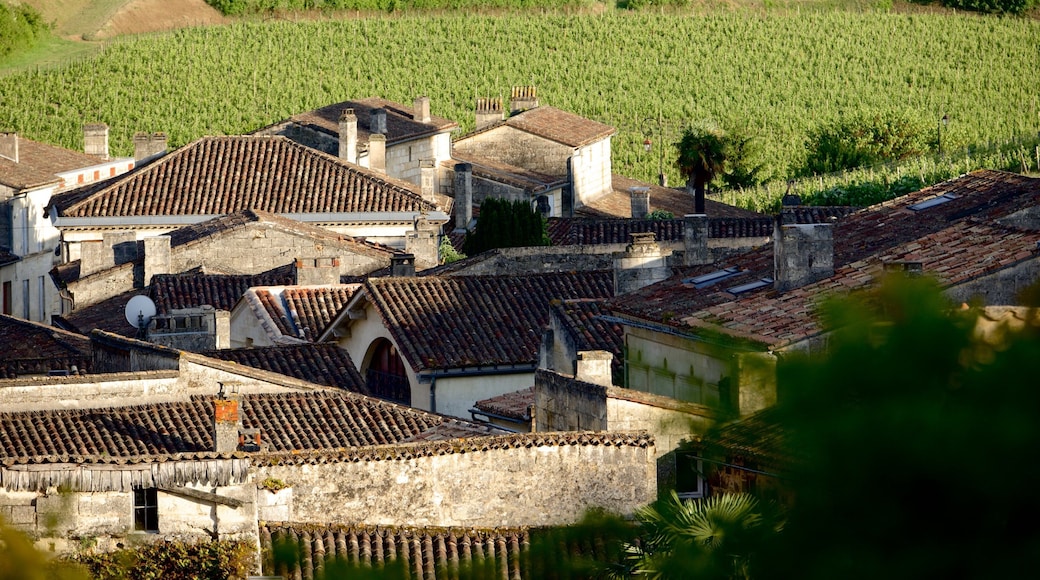 Región vinícola de Burdeos mostrando situaciones tranquilas y un pueblo