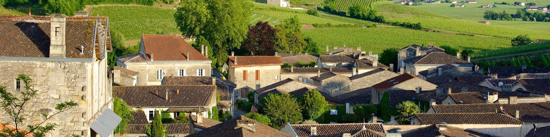 A historic village with stone buildings, terracotta roofs, and vineyards in the background.