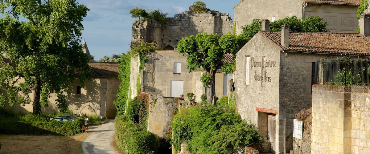A narrow cobblestone road flanked by historic stone buildings with ivy, a tree, and a sign reading "Château des Fleurs."