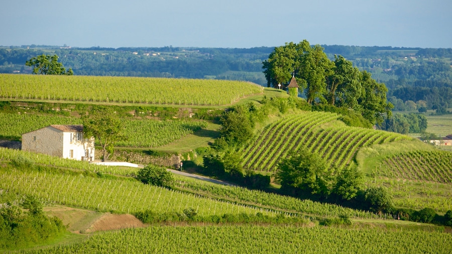 Bordeaux Wine Region which includes landscape views