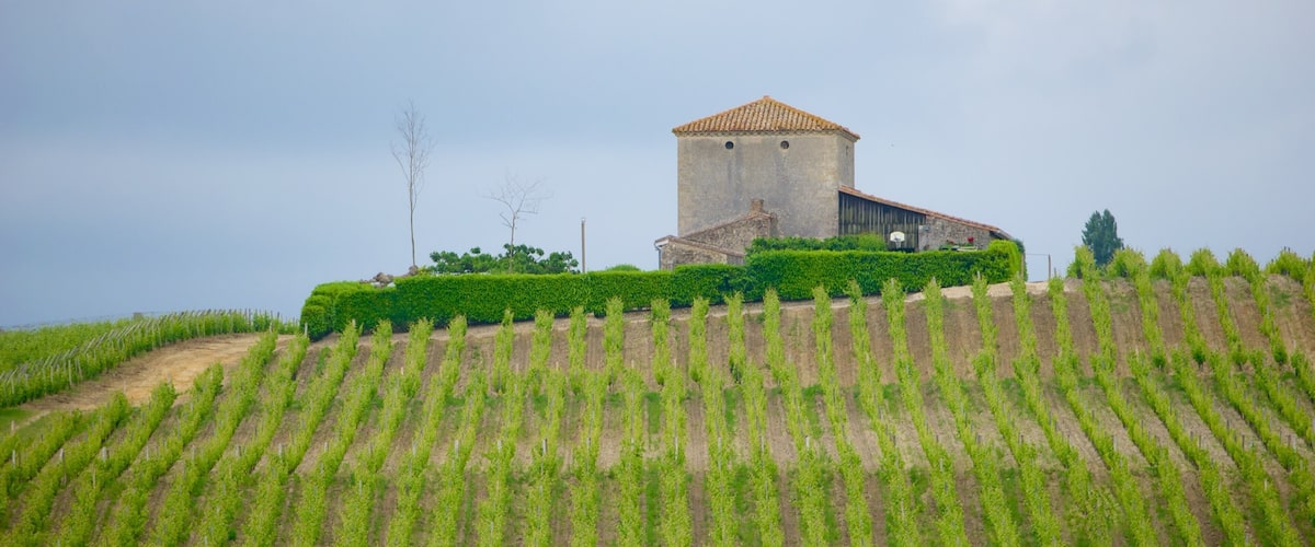 Región vinícola de Burdeos