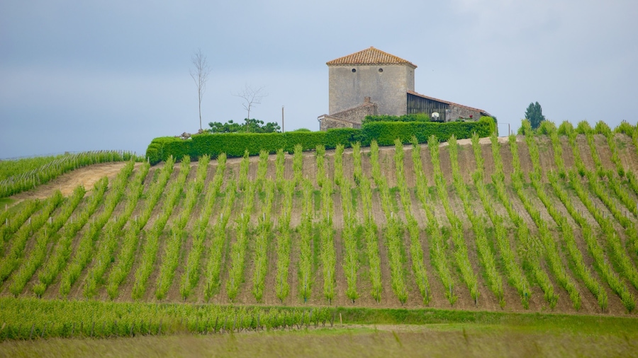 Região do vinho de Bordeaux