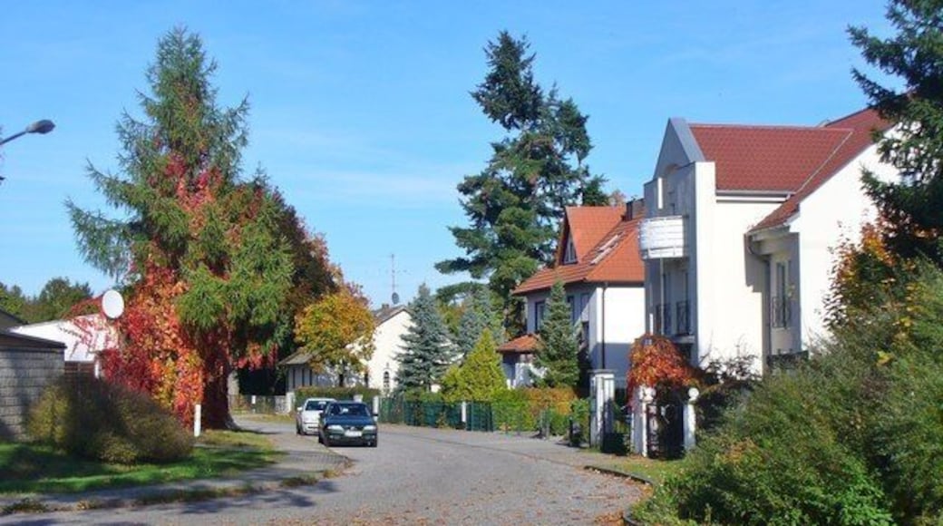 Alt Buchhorst - Peetzstrasse