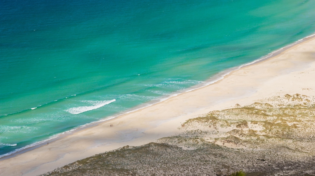 Un paysage cÎtier avec une plage de sable et un océan bleu et limpide.