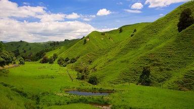 Ile du Nord montrant scĂšnes tranquilles et mare