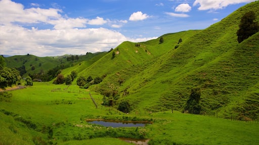 Nordøen som viser en dam og fredfyldte omgivelser