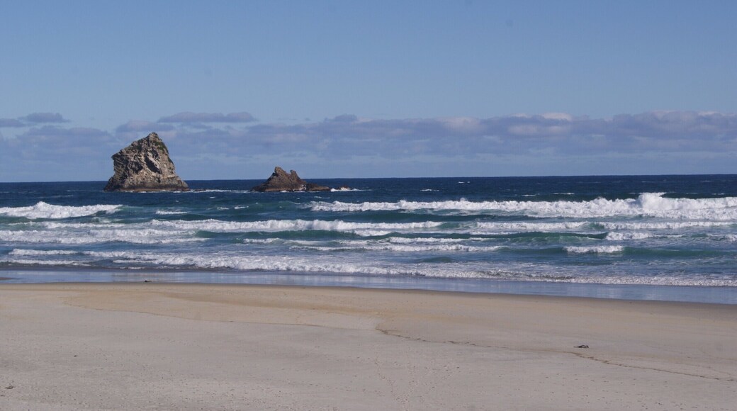 Sandfly Bay, South Island, New Zealand
Amazing wild coast of New Zealand at its best #blue #southisland