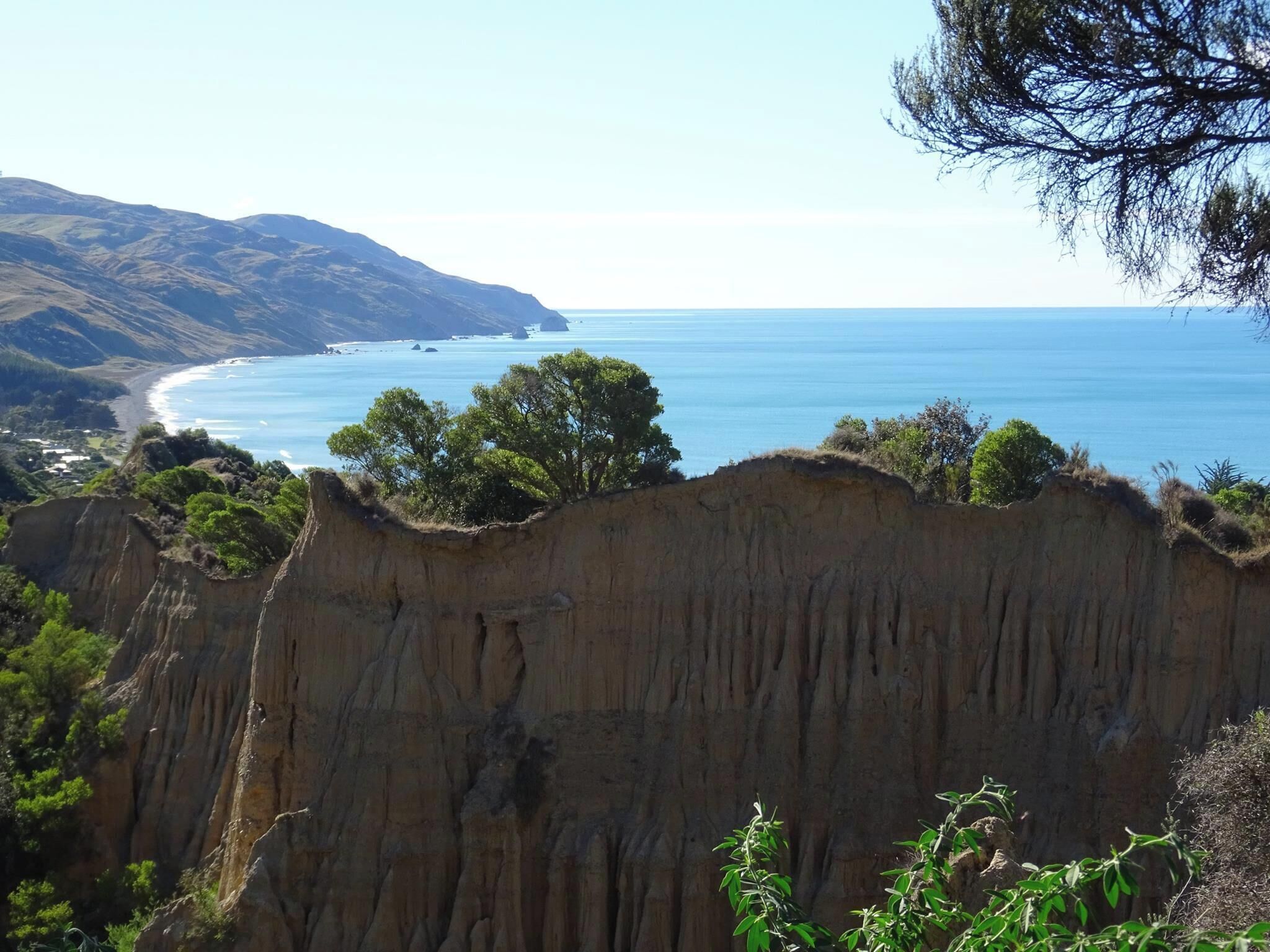 somewhere on the eastern coast of NZ's south island