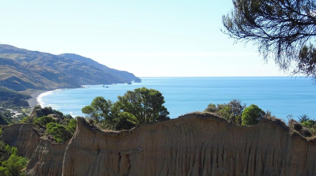 somewhere on the eastern coast of NZ's south island