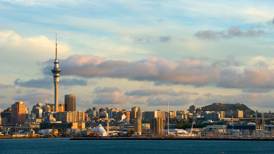 Auckland (y alrededores)