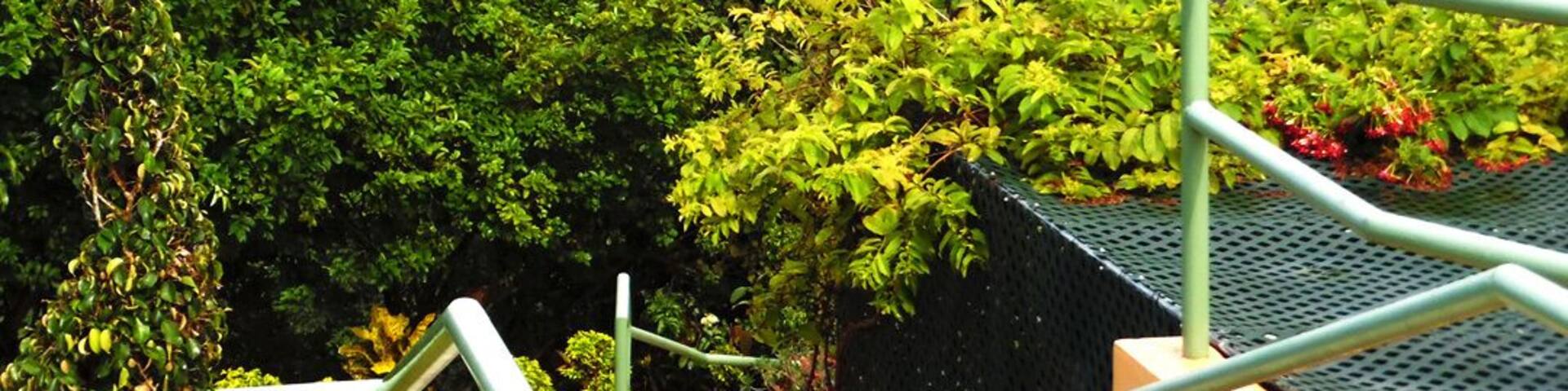 The hills of Paramin Trinidad and Tobago look refreshed after a heavy shower of rain. http://www.travelwith2ofus.com/
#travel #traveling #travelphoto #nature #naturephotography #TrinidadAndTobago #green #Caribbean #Springfun