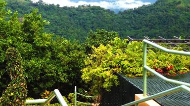 The hills of Paramin Trinidad and Tobago look refreshed after a heavy shower of rain. http://www.travelwith2ofus.com/
#travel #traveling #travelphoto #nature #naturephotography #TrinidadAndTobago #green #Caribbean #Springfun