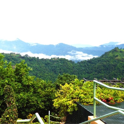 The hills of Paramin Trinidad and Tobago look refreshed after a heavy shower of rain. http://www.travelwith2ofus.com/
#travel #traveling #travelphoto #nature #naturephotography #TrinidadAndTobago #green #Caribbean #Springfun