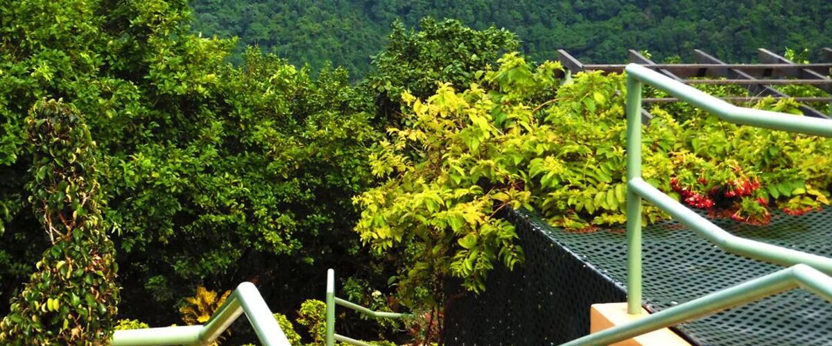 The hills of Paramin Trinidad and Tobago look refreshed after a heavy shower of rain. http://www.travelwith2ofus.com/
#travel #traveling #travelphoto #nature #naturephotography #TrinidadAndTobago #green #Caribbean #Springfun