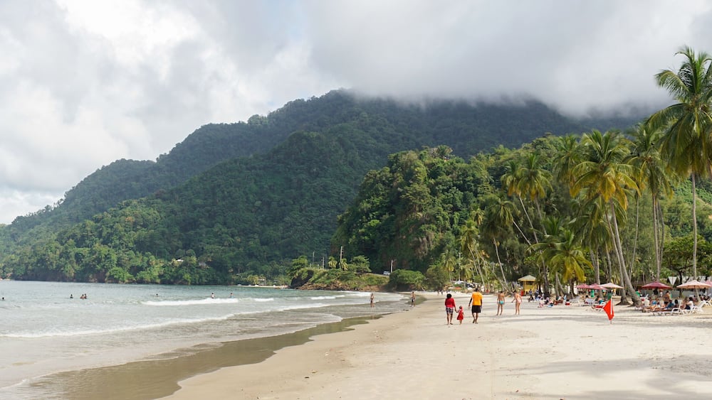 Ocean and Palm Trees at Maracas Beach in Trinidad and Tobago, Caribbean.