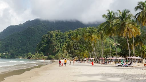 Ocean and Palm Trees at Maracas Beach in Trinidad and Tobago, Caribbean.