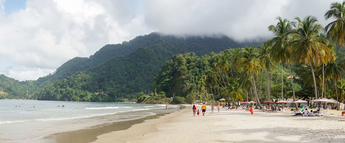 A beach with palm trees, a mountain in the background, and people walking along the shore.