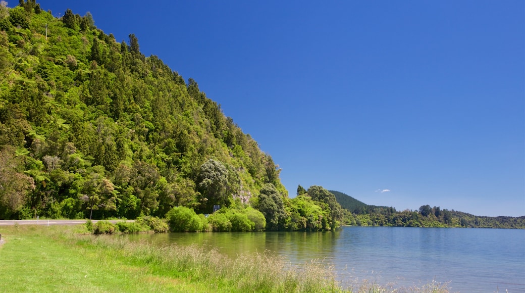 Lake Rotoiti showing tranquil scenes and a lake or waterhole