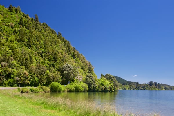 Lac Rotoiti mettant en vedette lac ou étang et scÚnes tranquilles