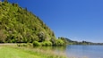 Lake Rotoiti which includes tranquil scenes and a lake or waterhole