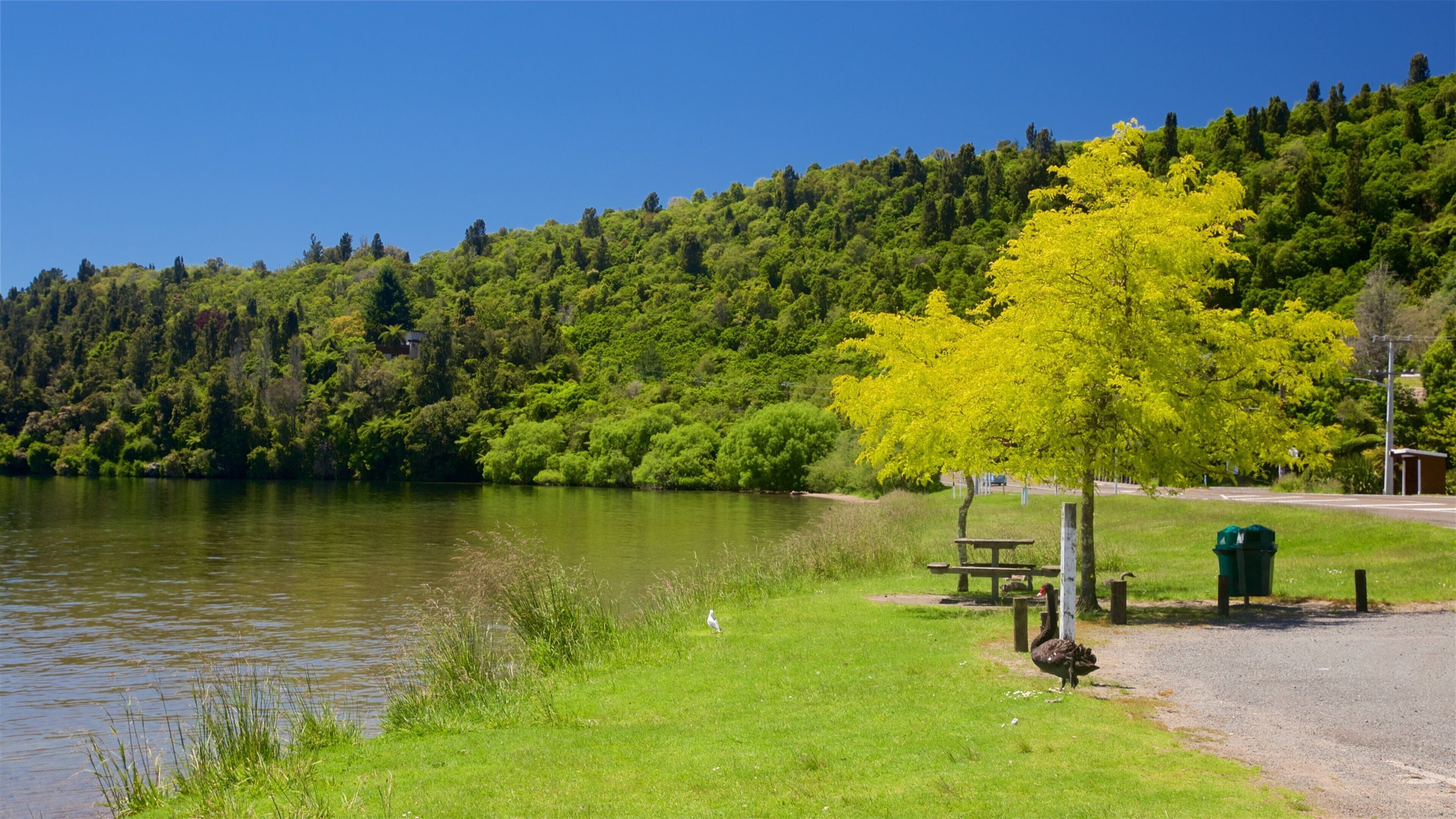 Rotoiti-meer toont vredige uitzichten en een meer of poel