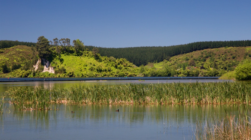 Lake Rotoiti showing a lake or waterhole and tranquil scenes
