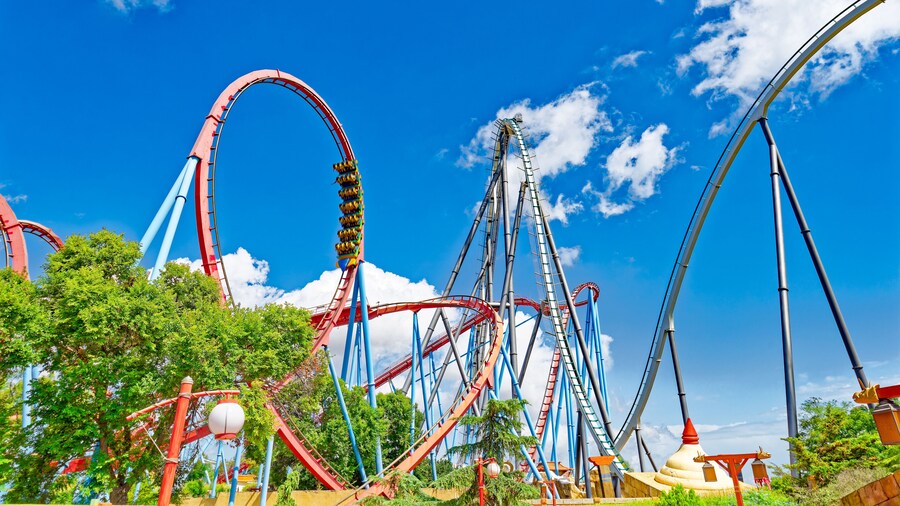 Roller Coaster in funny amusement park.