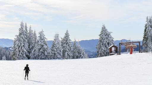 Panoramic view ski slope and unrecognizable female skier at winter mountain resort Pamporovo, Rhodope Mountains, Bulgaria. Active winter holiday, Christmas vacation outdoor. Wide banner, copy space