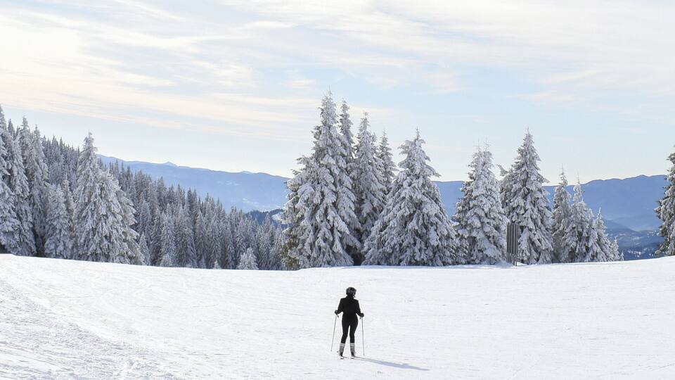 A skier on a snowy slope with snow-covered trees and mountains in the background.