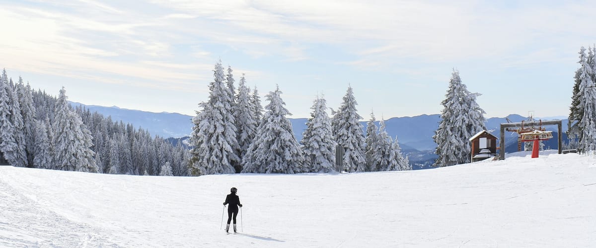 A skier on a snowy slope with snow-covered trees and mountains in the background.