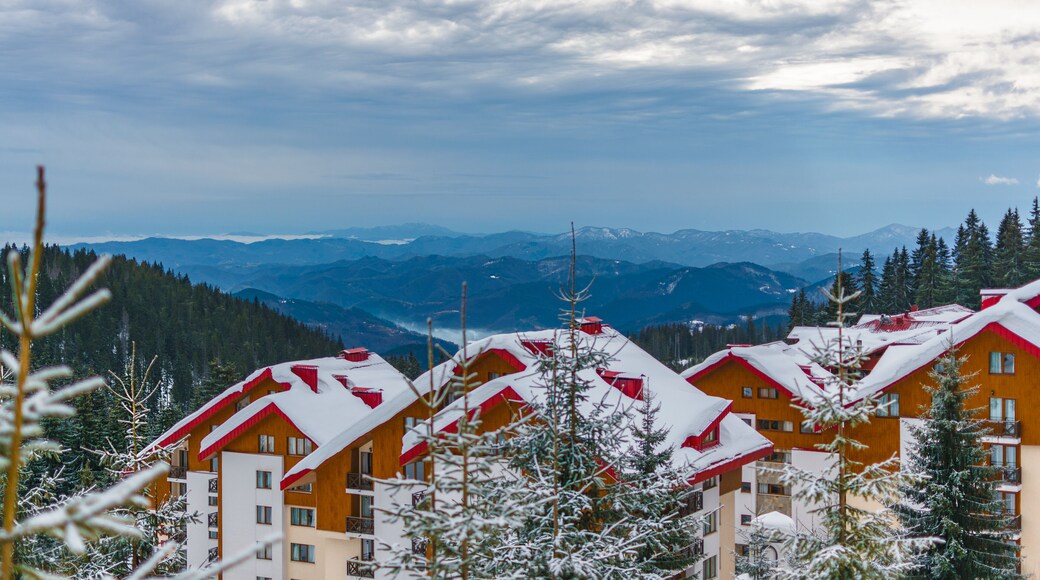 For this kind of views I forget I am a summer person.... for a moment !