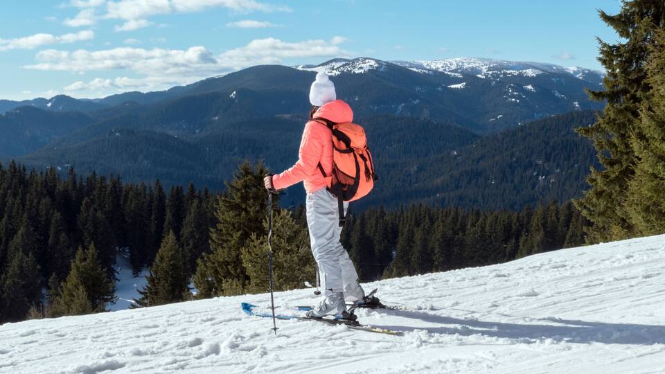 A person skiing on a snowy mountain slope with a forested valley and snow-capped mountains in the background.
