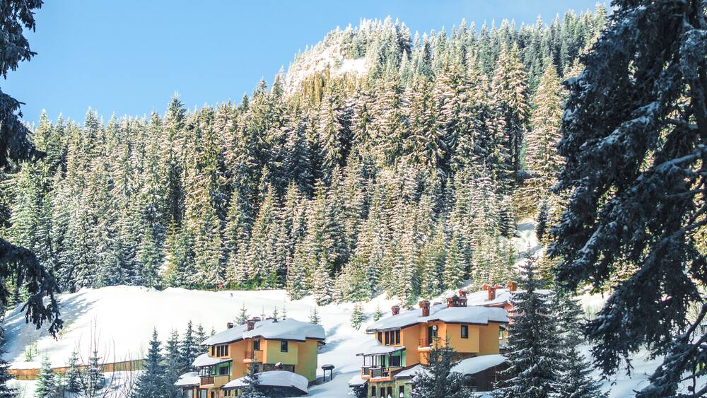 Coziness in the mountains.