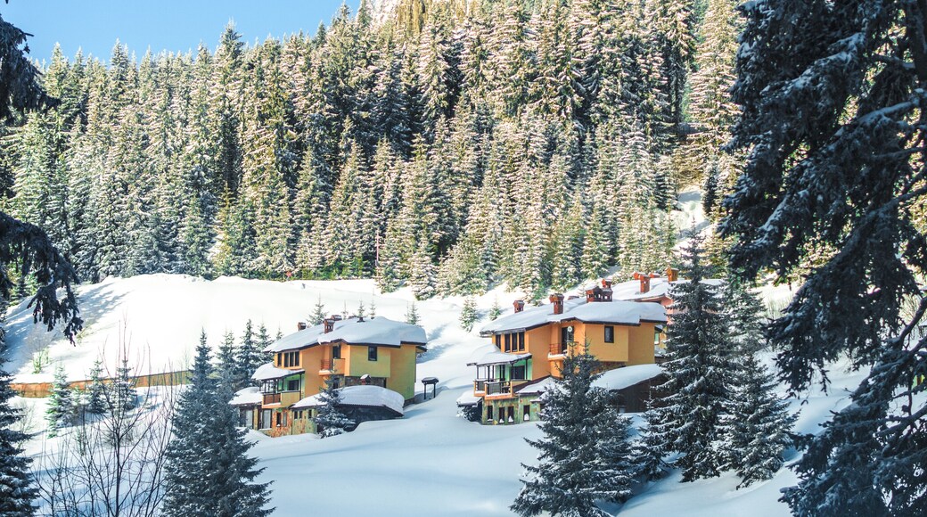 Coziness in the mountains.