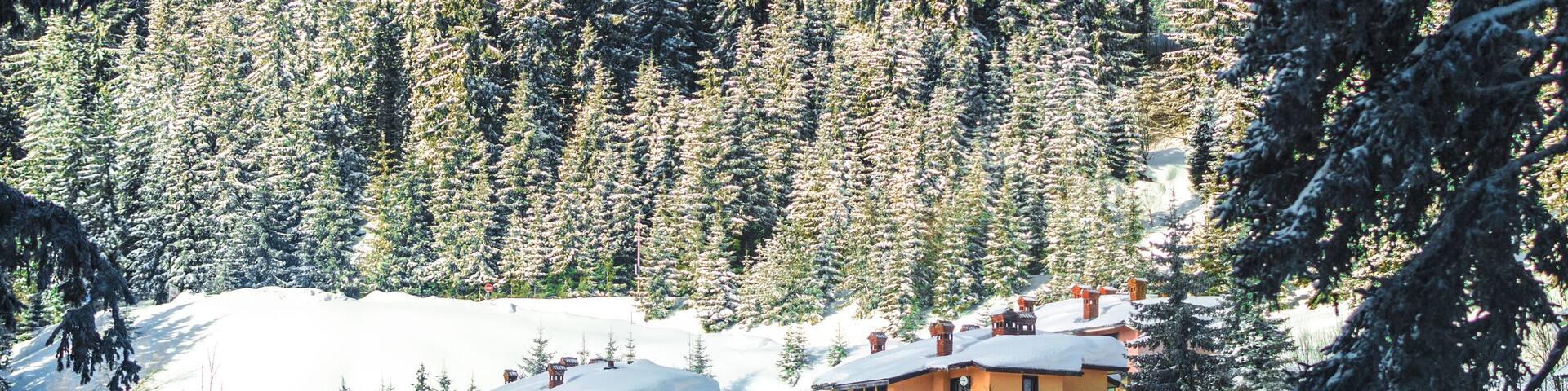 Coziness in the mountains.