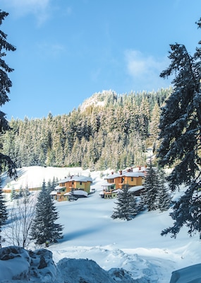 Coziness in the mountains.