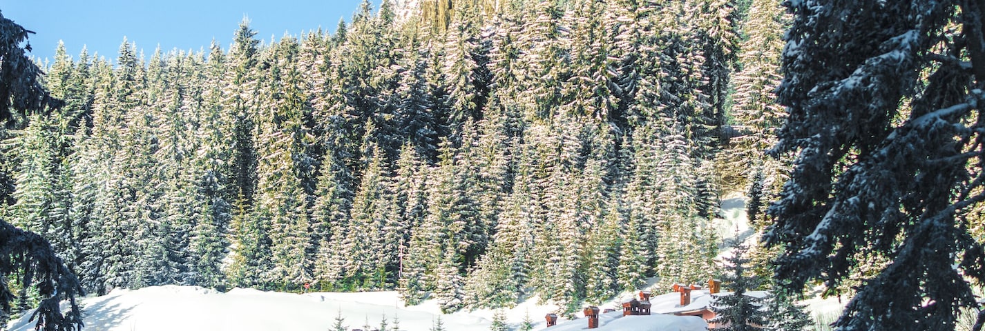 Coziness in the mountains.