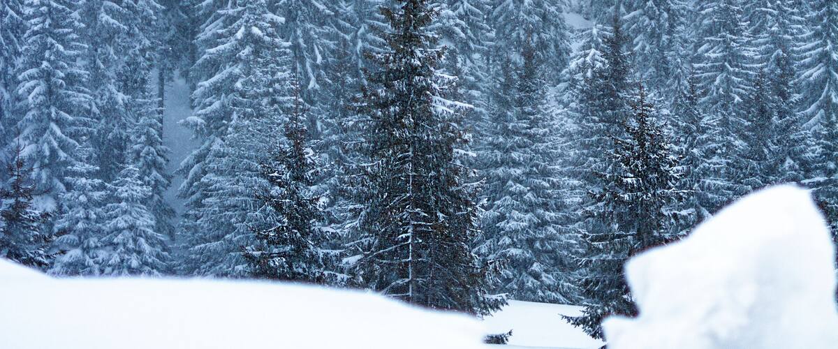 After the snow storm there is always calmness. ❄