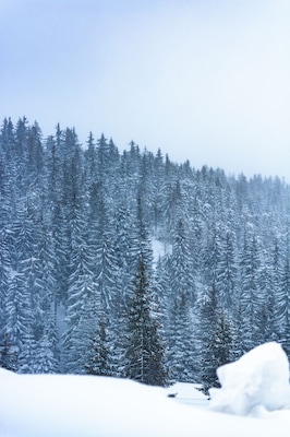 After the snow storm there is always calmness. ❄