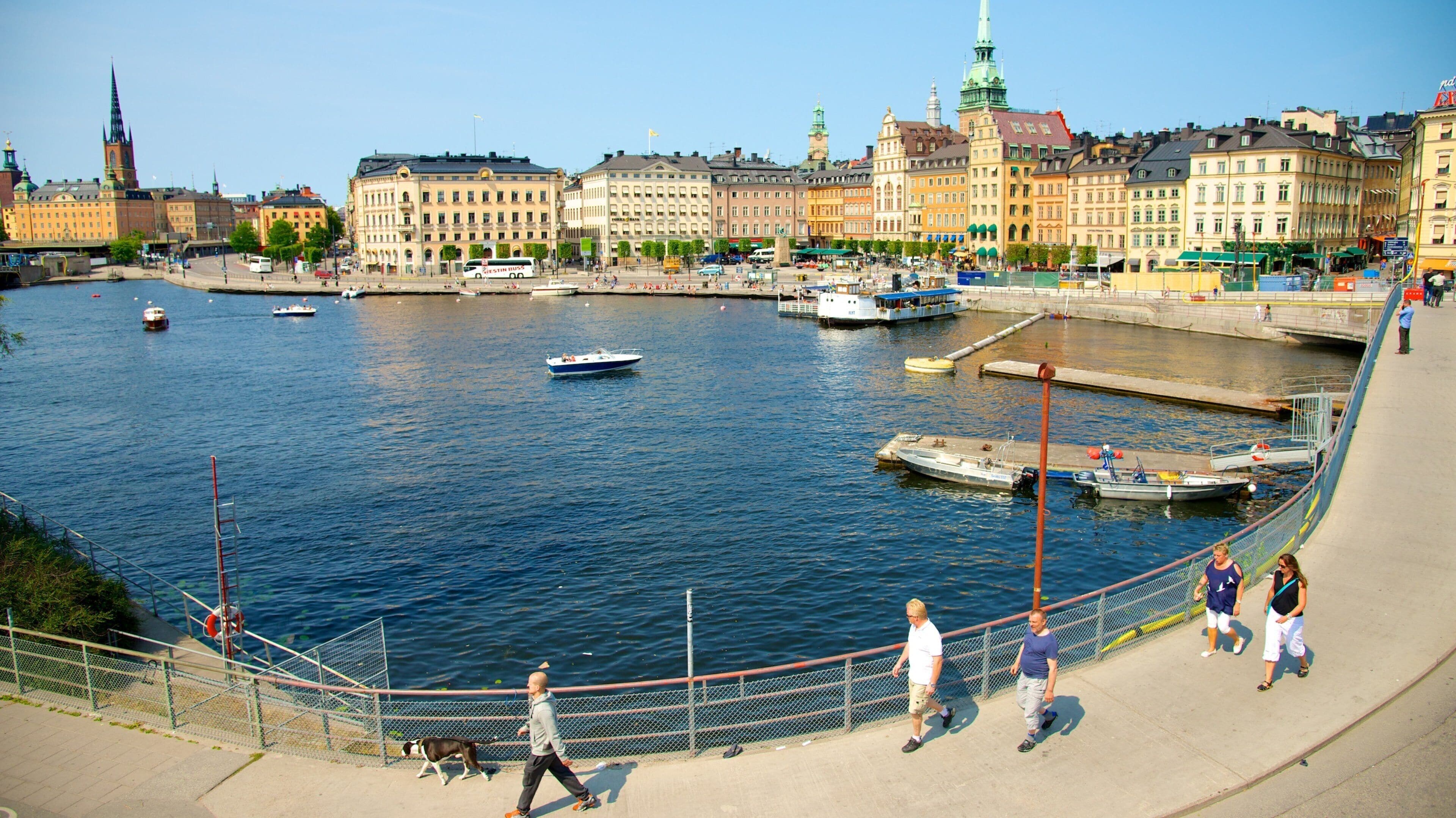 Stockholm featuring boating, a bay or harbor and a marina