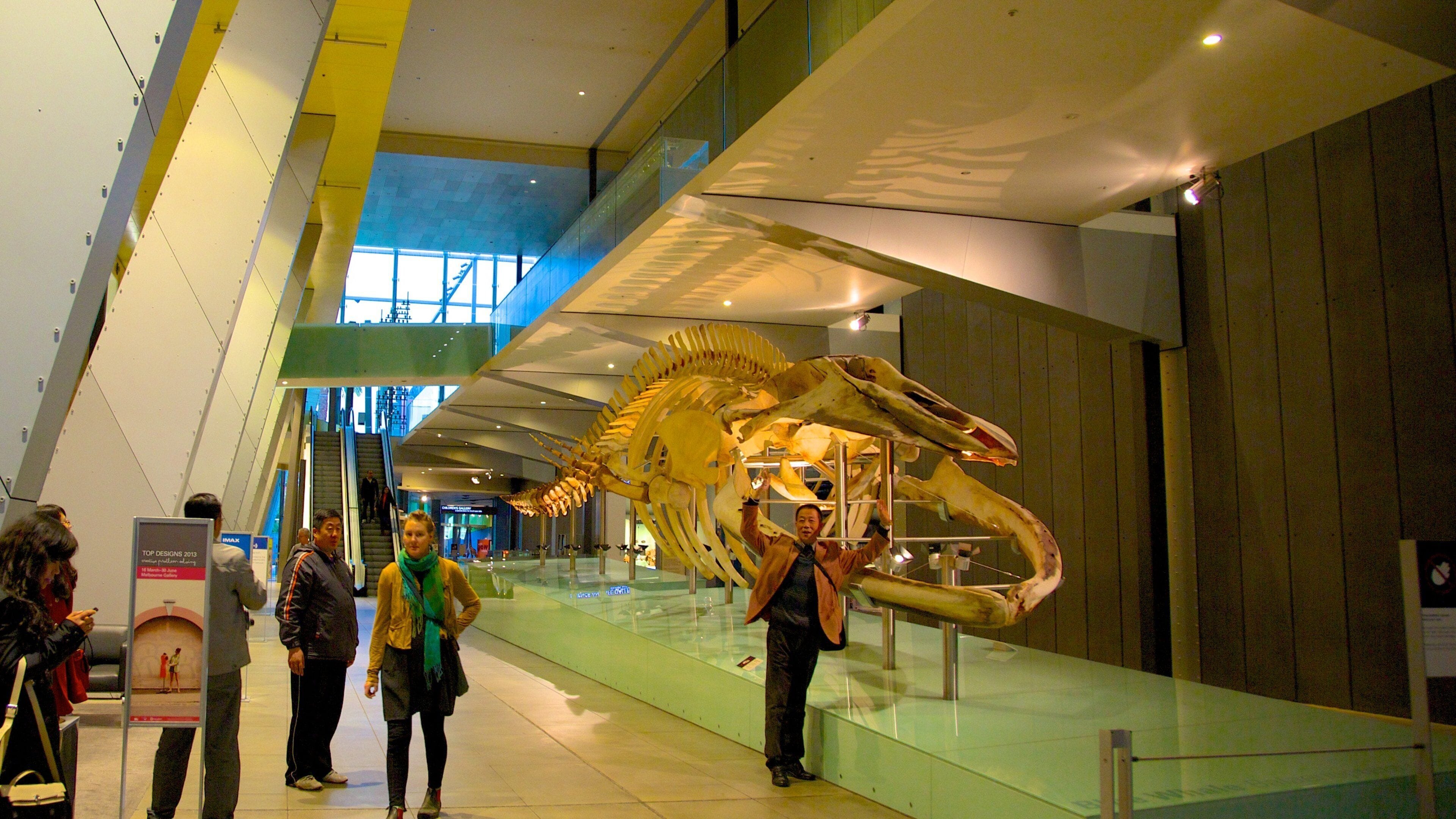 Melbourne Museum welches beinhaltet Innenansichten