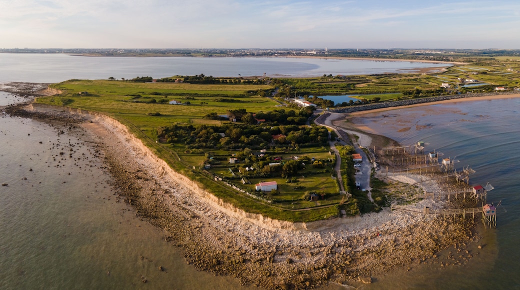 Vue aérienne plage d'Angoulins Charente Maritime France