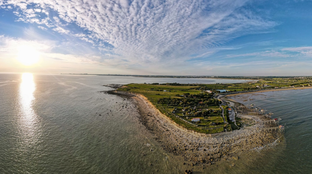 Vue aérienne plage d'Angoulins Charente Maritime France