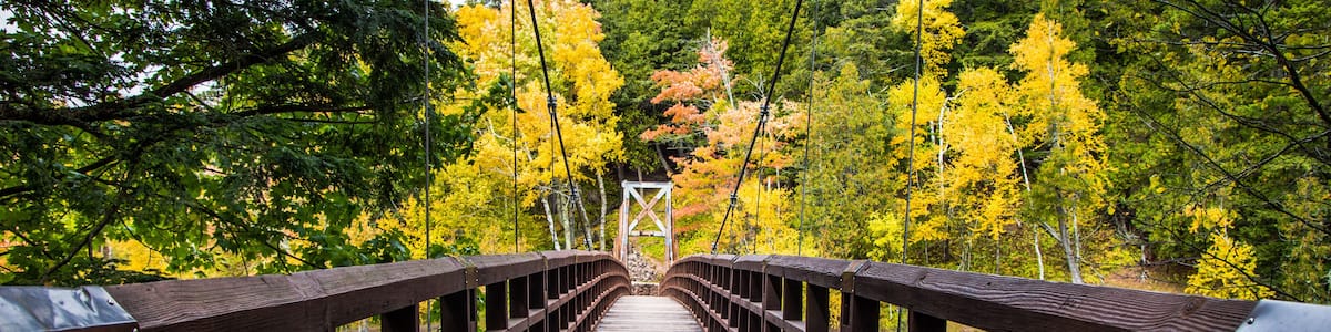 Eine Holzbrücke über einem ruhigen Fluss, umgeben von Herbstlaub.