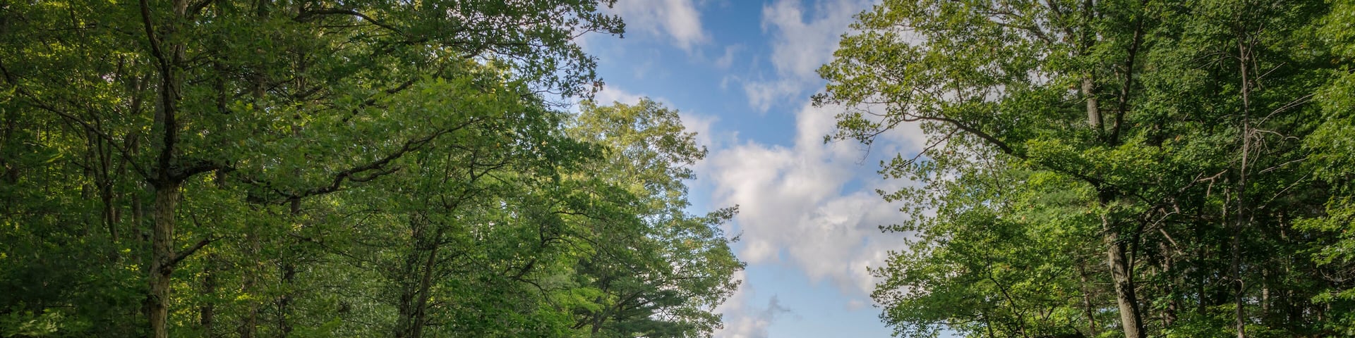 Newaygo Waters (2023)