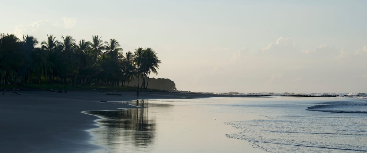 A beach with calm waters, palm trees, and a distant cliff.