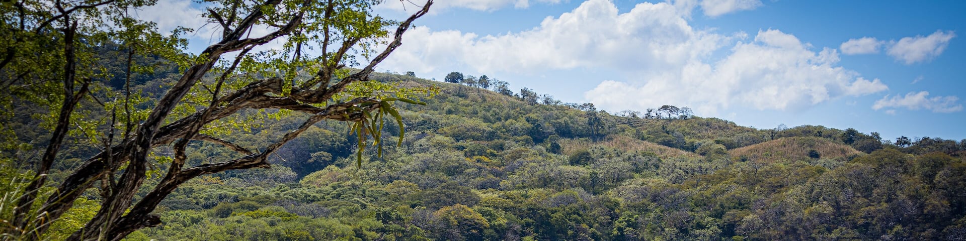 Bahía junquillal Costa Rica