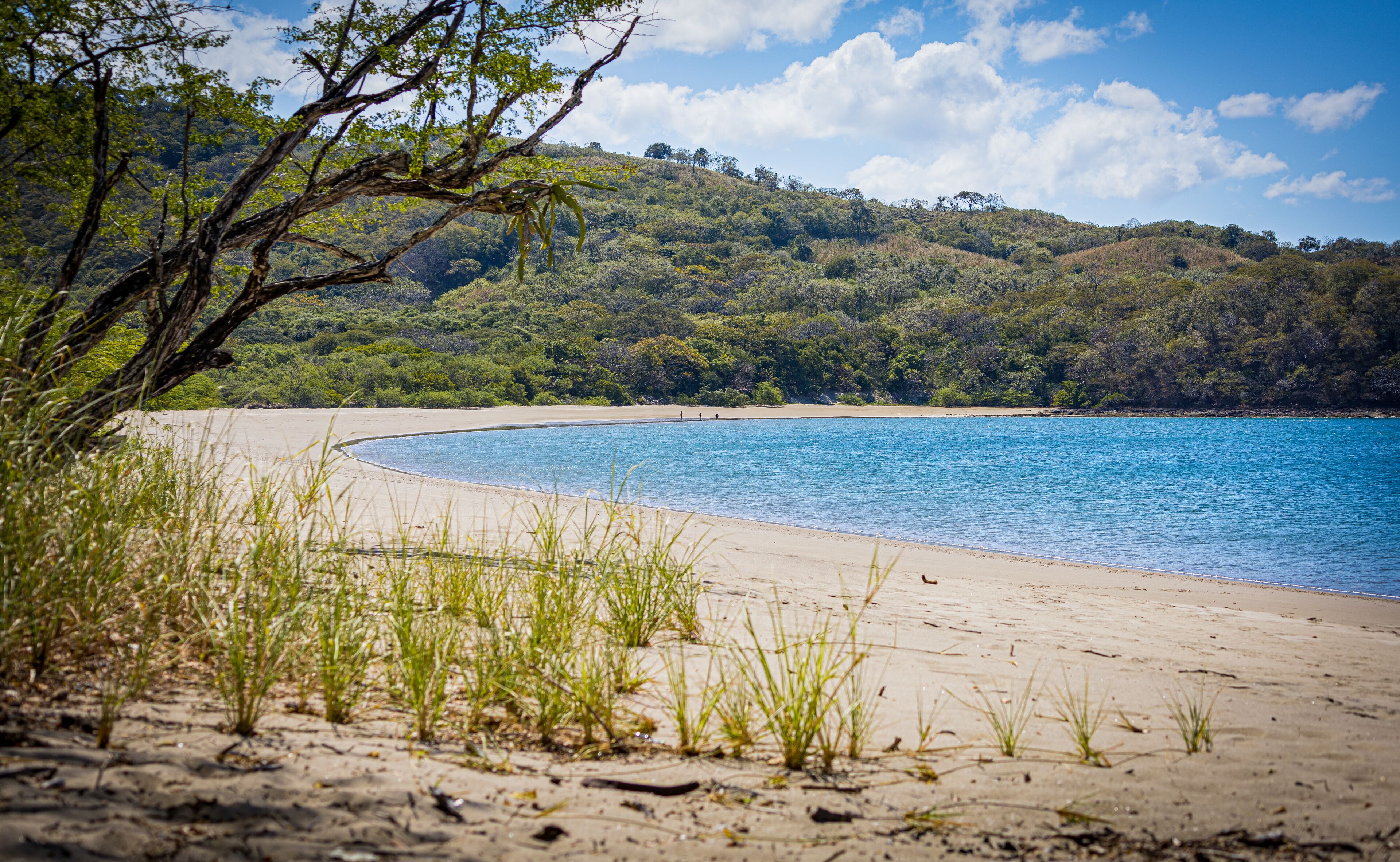 A beach with clear blue water, sandy shore, and a forested hill in the background.