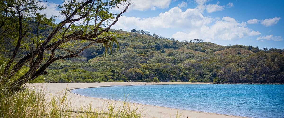 A beach with clear blue water, sandy shore, and a forested hill in the background.