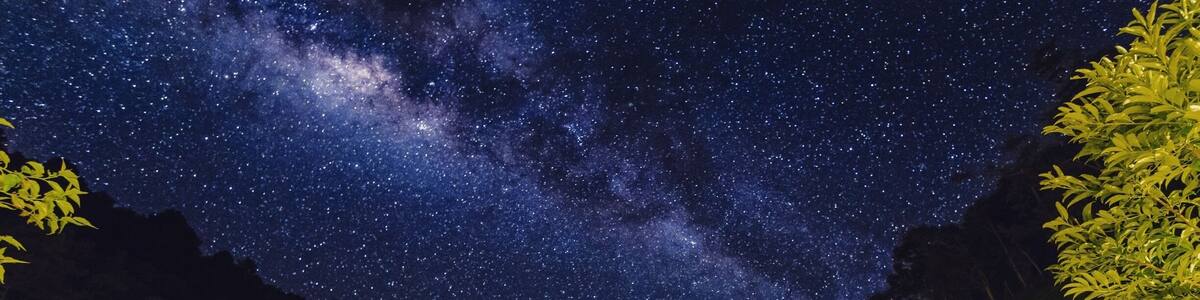 Nights can be very rewarding during the rainy season in the central mountains of Costa Rica, if you van tolerate a little bit of cold weather.